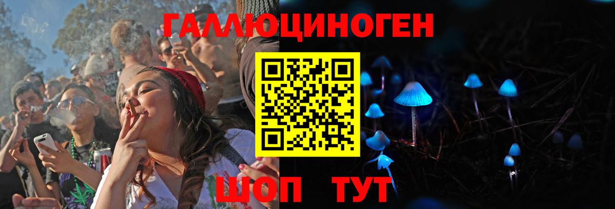 Галлюциногенные грибы Magic Shrooms Нижний Новгород