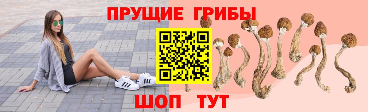 Галлюциногенные грибы MAGIC MUSHROOMS  Вход с VPN  где найти   Псилоцибиновые грибы Cubensis  Нижний Новгород 